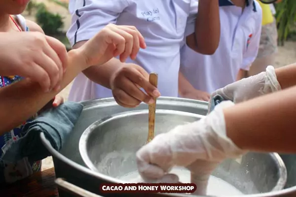 Actividades de cacao y miel maya para niños