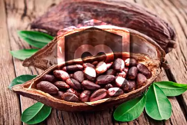 platos de madera con cacao entero y molido