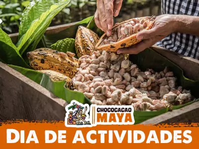 Entradas y actividades en Chococacao Maya