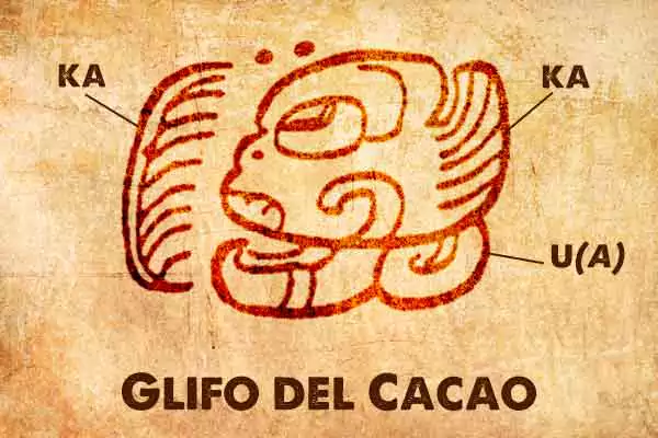 Glifo maya del Cacao