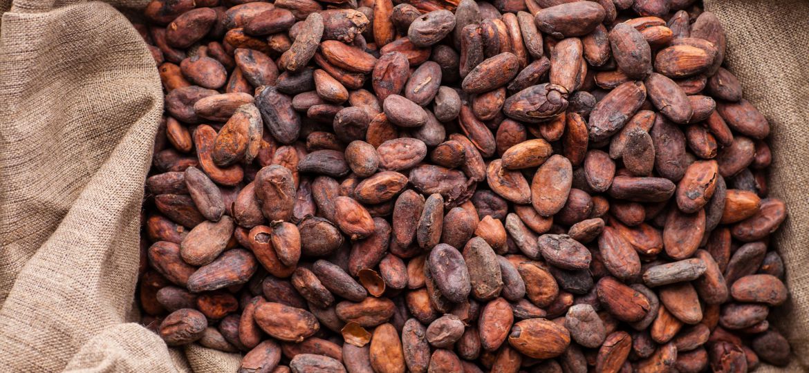 Cacao tostado en costal