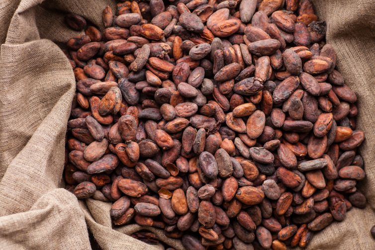 Cacao tostado en costal