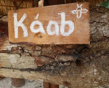 Letrero de Madera Kaab que significa Abeja