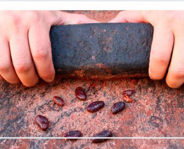 experiencia de chocolate maya que hacer en tulum