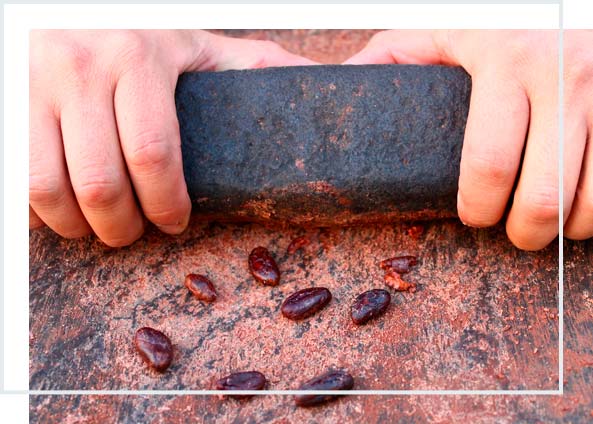 experiencia de chocolate maya que hacer en tulum