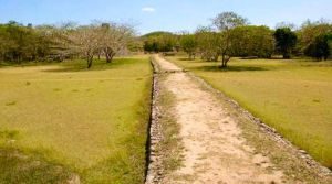 Vista de un Sacbe o camino sagrado maya