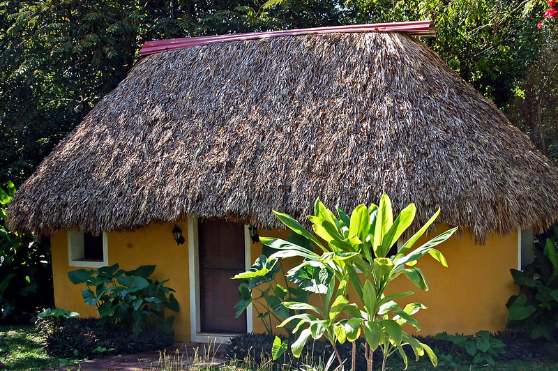 cabaña rustica en Tulum