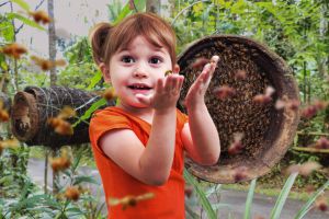 Niña rubia interactuando con abejas meliponas inofensivas