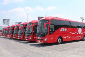 ADO buses