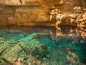 aguas cristalinas en cenote