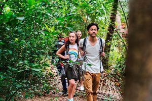 Caminata por la jungla en Tulum y Cobá