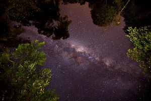 Cielo estrellado en l ajungla maya