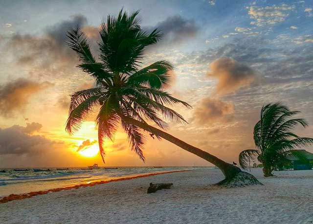 playa paraiso toma tus fotos en tulum